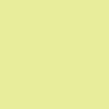 Caran D'ache - Supracolor Watersoluble Pencil - Pale Yellow