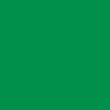 Caran D'ache - Pablo Oil Pencil - Spruce Green