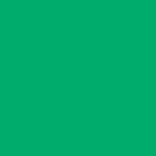 Caran D'ache - Pablo Oil Pencil - Veronese Green
