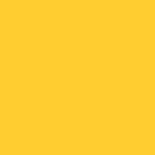 Caran D'ache - Pablo Oil Pencil - Yellow