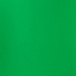 Winsor & Newton Designers' Gouache - Permanent Green Light S2 - 14ml