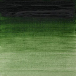 W&N Artists' Oils - Prussian Green S2 - 37ml
