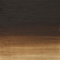 W&N Artists' Oils - Raw Umber S1
