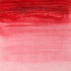 W&N Artists' Oils - Rose Dore S5 - 37ml