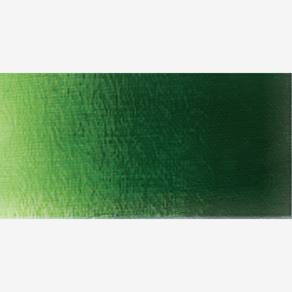 Old Holland Acrylic - Sap Green Extra - Series C - 60ml