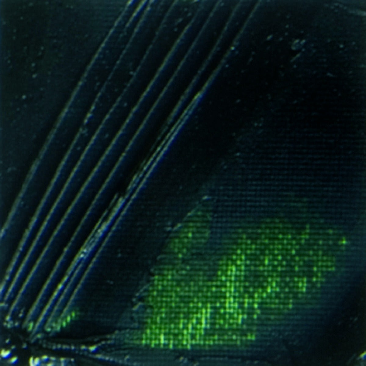 Pebeo XL Oils - Sap Green