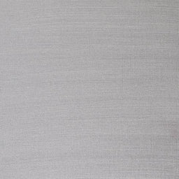 W&N Artists' Oils - Silver S2