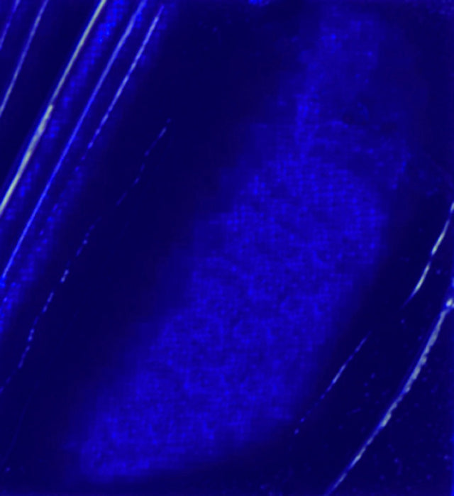 Pebeo XL Oils - Ultramarine Blue