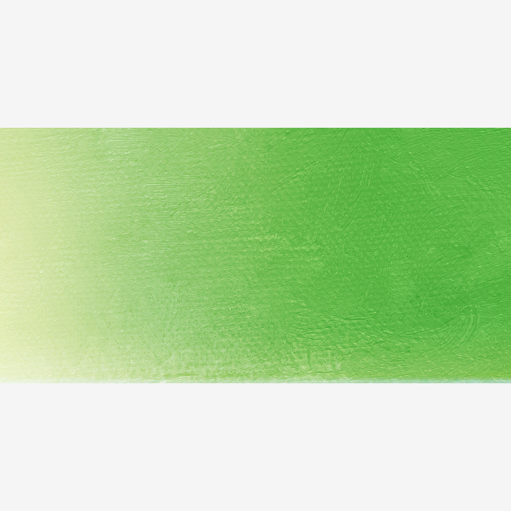 Old Holland Acrylic - Old Holland Yellow Green - Series B - 60ml